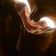 Image for article titled Gorgeous Tree of Life stills look like the greatest science epic of all time